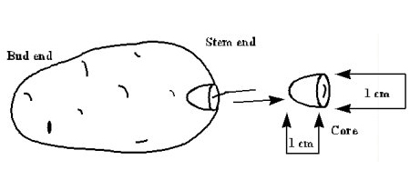 CFIA Diagram on How to Take a BRR Core from a Tuber How to Take a Core from a Tuber