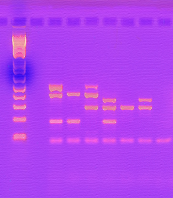Post Harvest Testing